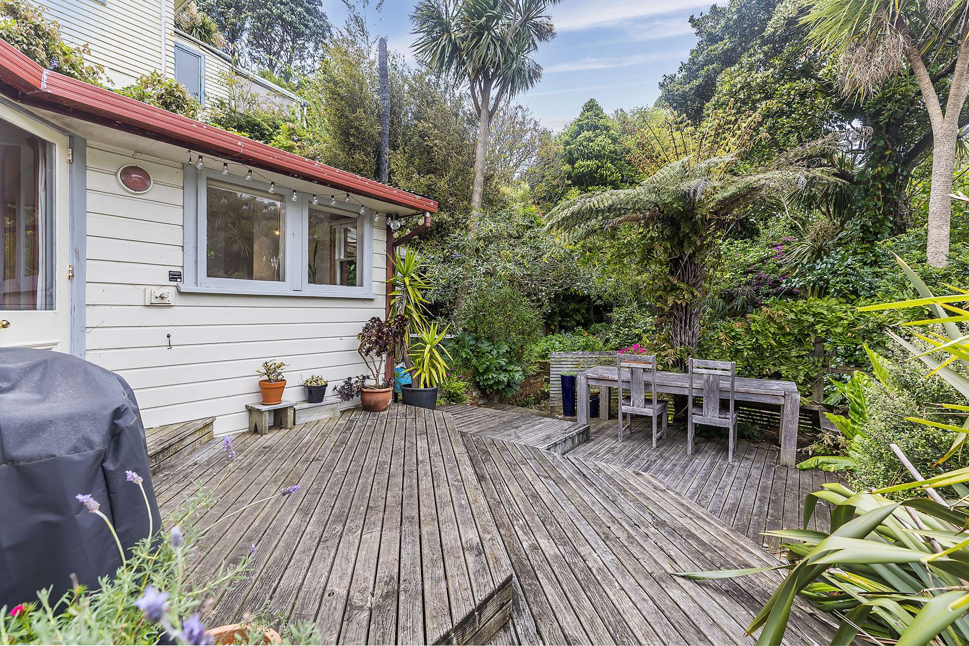 3 Levina Avenue Aro Valley_0