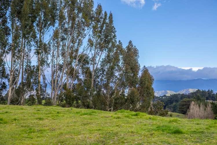 48 Norsewood Ormondville Road Norsewood_8