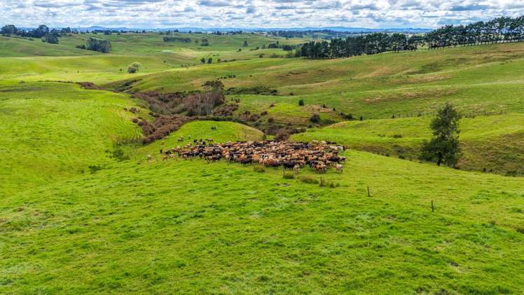 103A Ginn Road Huntly_13