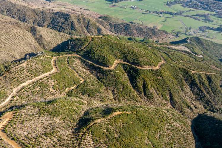 Matakitaki Road Murchison_7