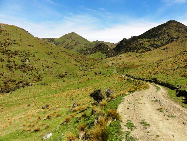 231 Powers Road Hawarden_19