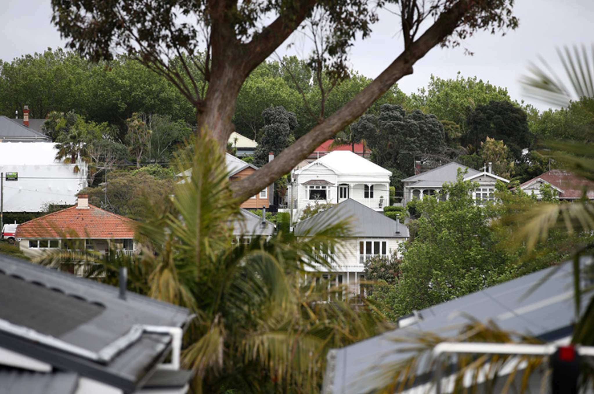 NZ house prices reach record highs