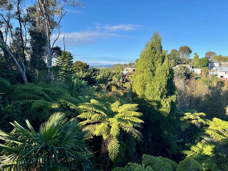 26 Cambrae Road Raglan_21