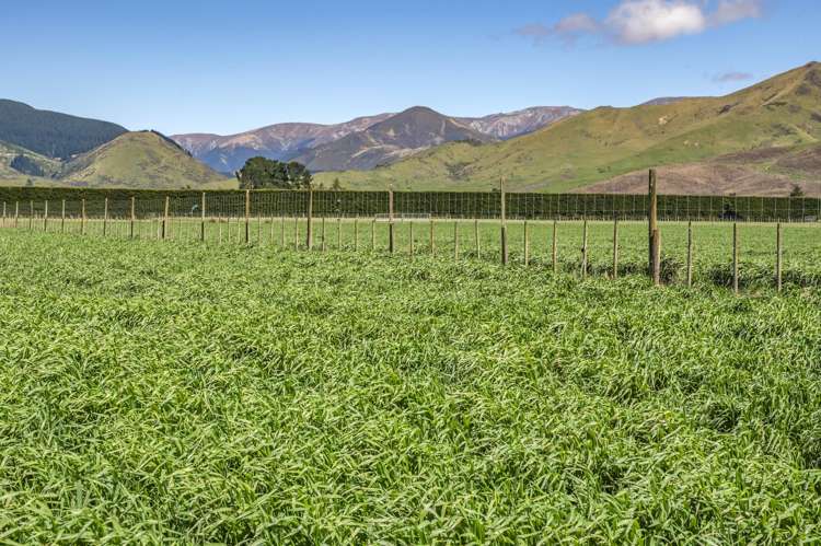 677 Pig Saddle Road Sheffield_7