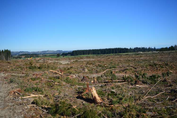 423 Hayland Road Okuku_7