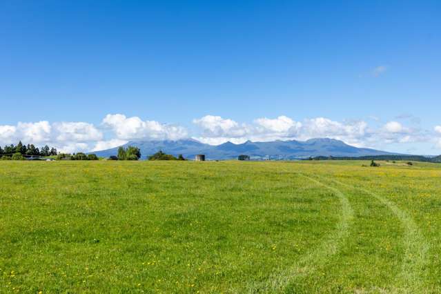 860 Egmont Road Hillsborough_3