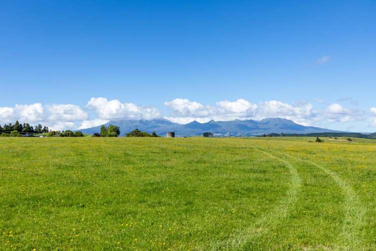 860 Egmont Road Hillsborough_3