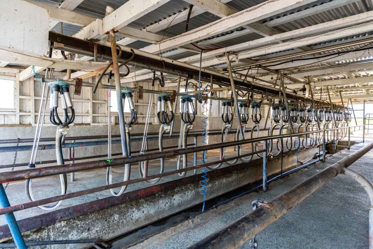 174 Gilbert Road Whangarei_9