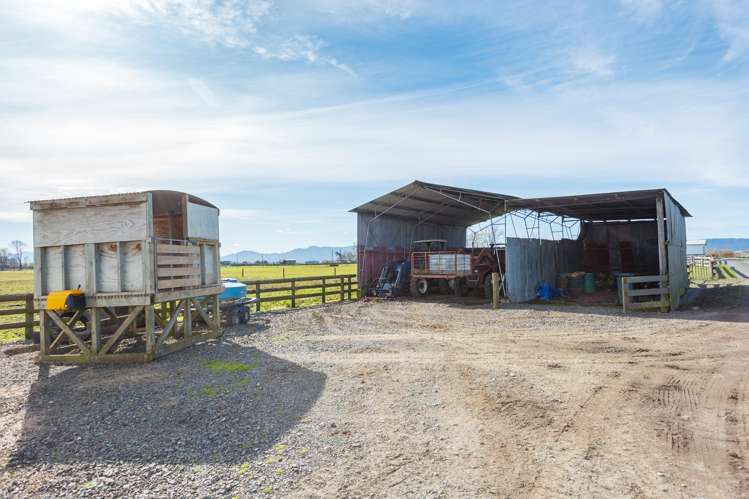 1 Gunn Road Matamata_8