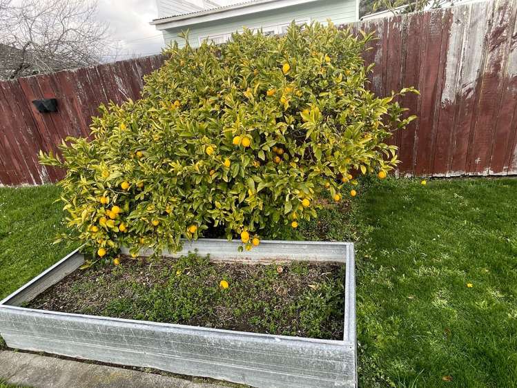 4 Heretaunga Square Silverstream_19