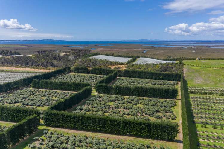 168 Heath Road Awanui_5