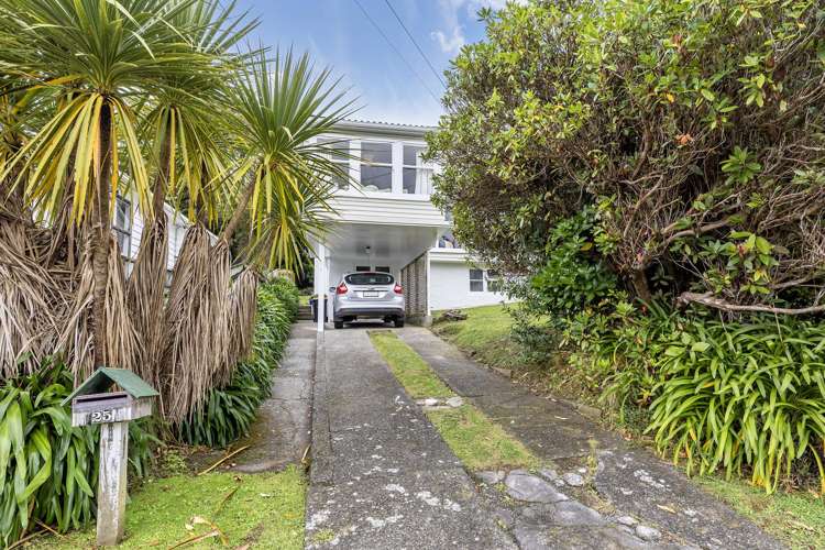 25 Victory Avenue Karori_15