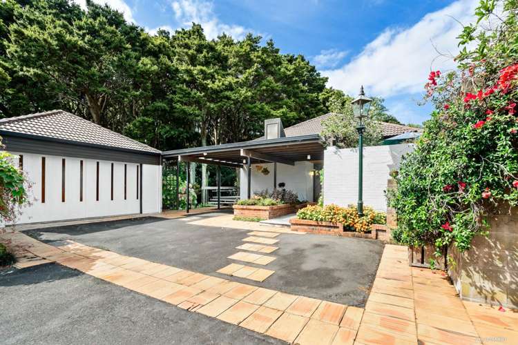 16 Patricia Place Hillpark_0