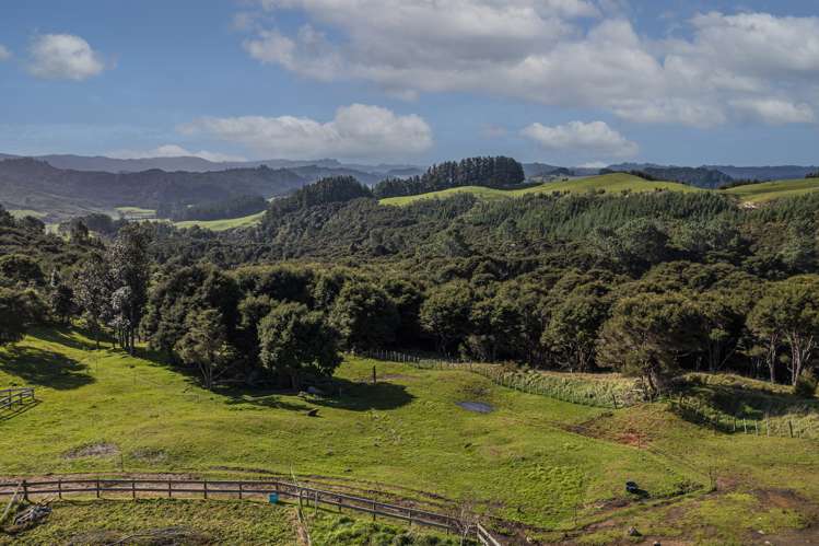 415d Mill Creek Road Kaimarama_23