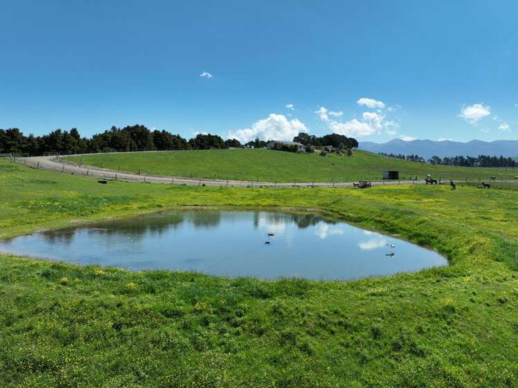 1483 Wakarara Road Ongaonga_23