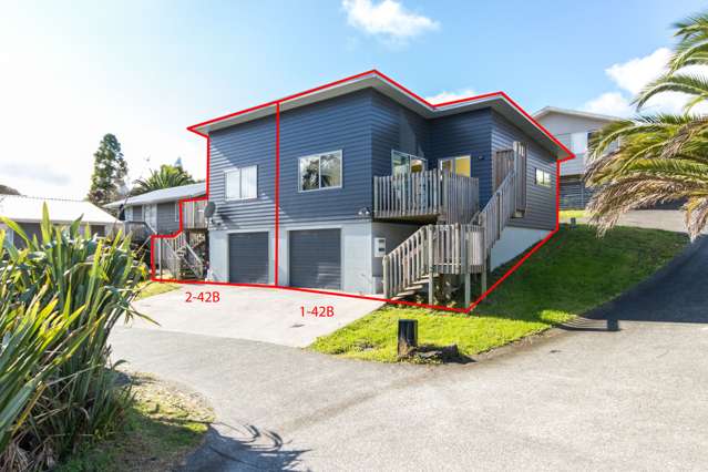 2/42b Candia Road Swanson_1