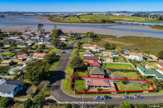 1a Mcmanus Place Otahuhu_1