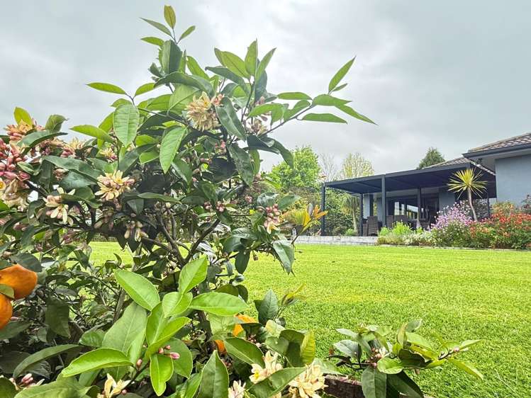 154 Ohinepanea Road Pukehina_48