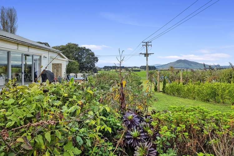 115 Ngutunui Road Puketotara_14