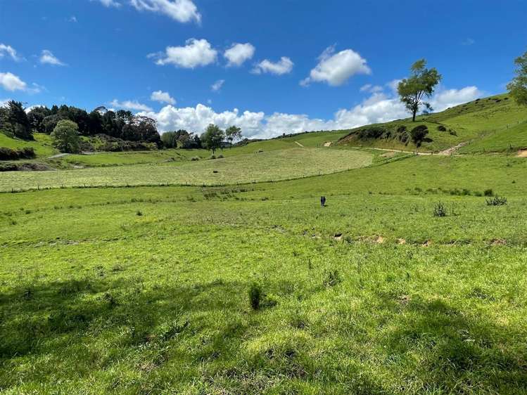 67 Okoko Road Otorohanga_6