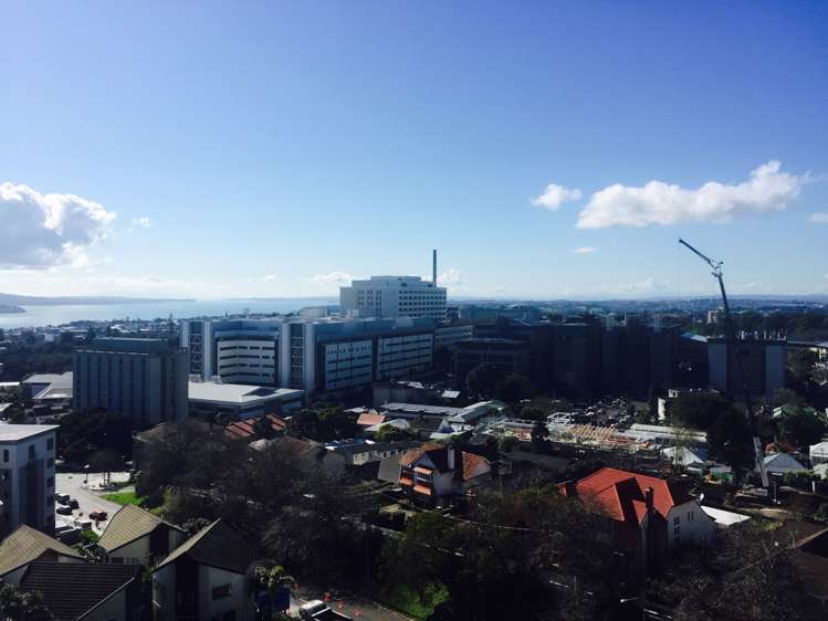 1006/135 Grafton Road Grafton_13