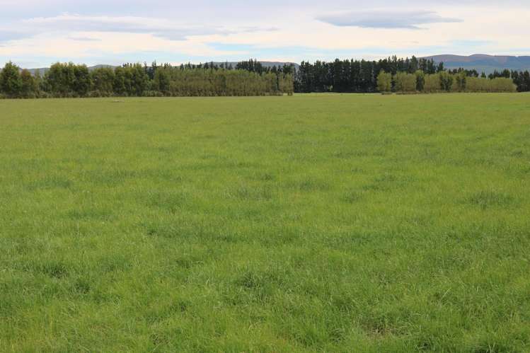 195 Dunn and Cody Road Riversdale_23