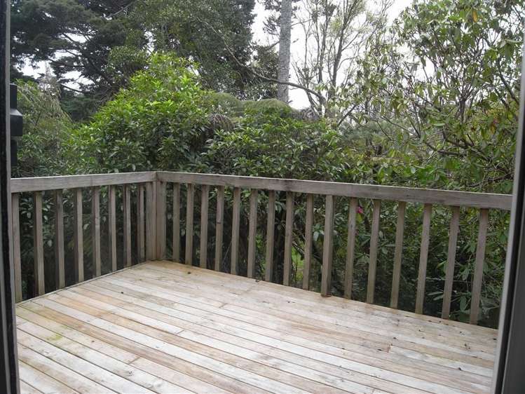 36a Cradock Street Avondale_10