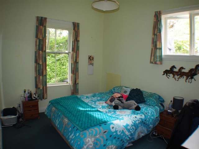 29 Devon Street Aro Valley_3