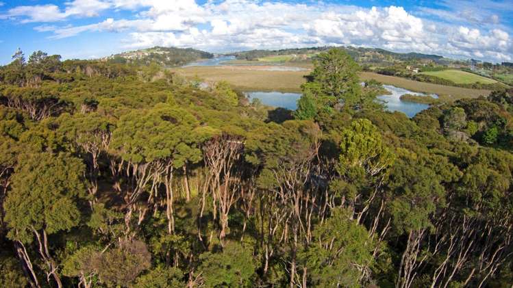 12 Chenery Road Red Beach_0