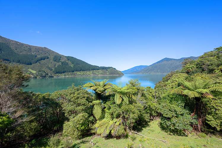 Nikau Bay Kenepuru Sound_21