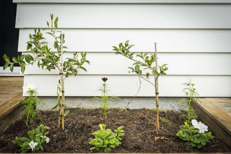 356c Maunu Road Horahora_25