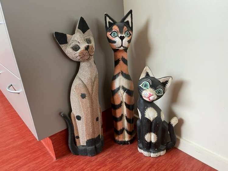 10 Constitution Avenue Milton_5