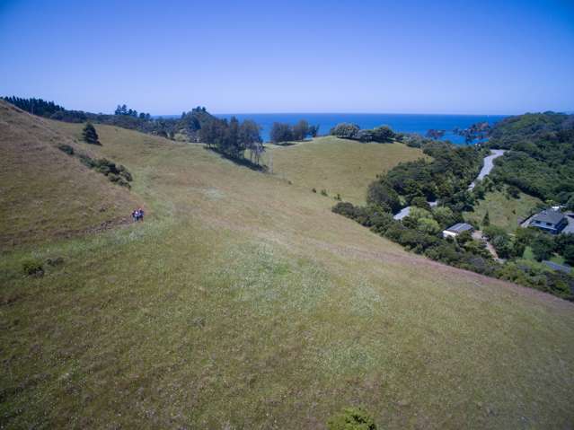 Rockell Road Whananaki_3