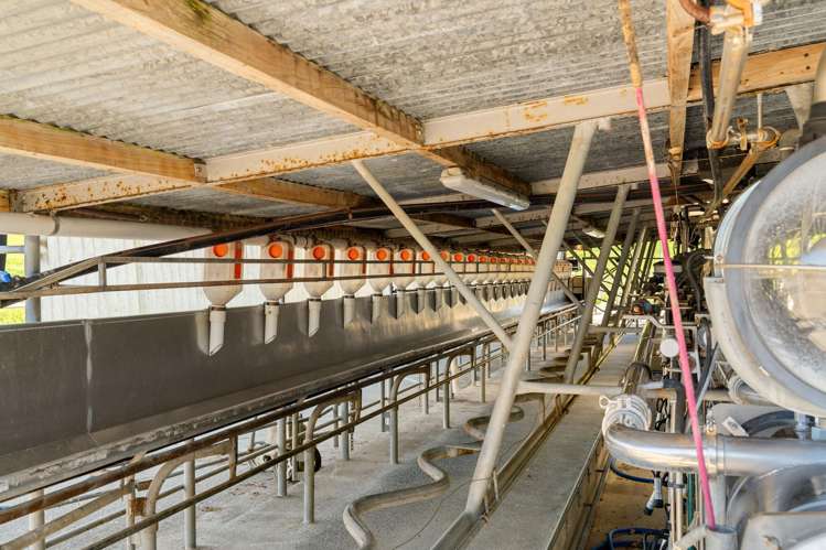 730 Waihi-Whangamata Road Waihi_11