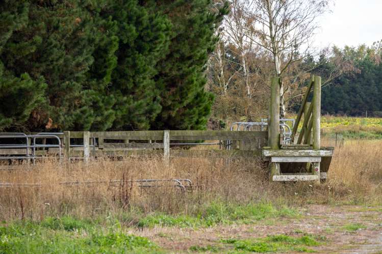 575 Thompsons Track Rakaia_9