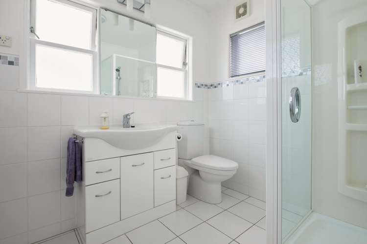 21 Allendale Road Mount Albert_18