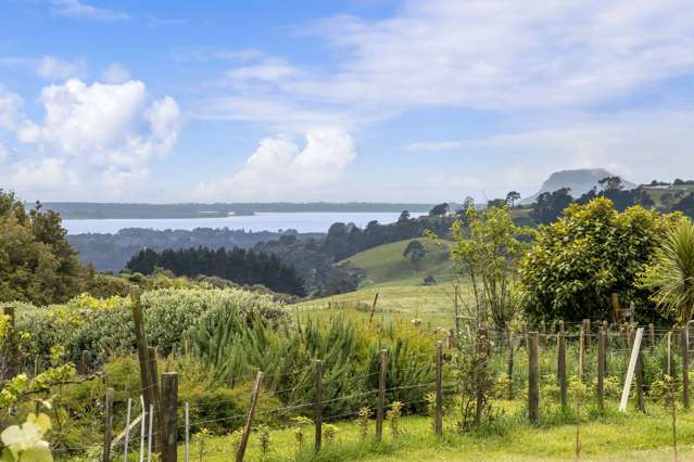 48 Goodall Road Whakamarama_1