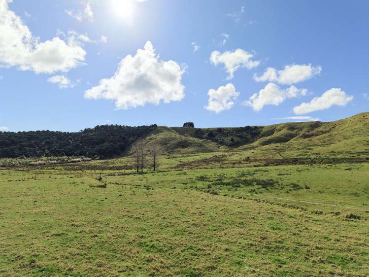 Te Moho Road_4