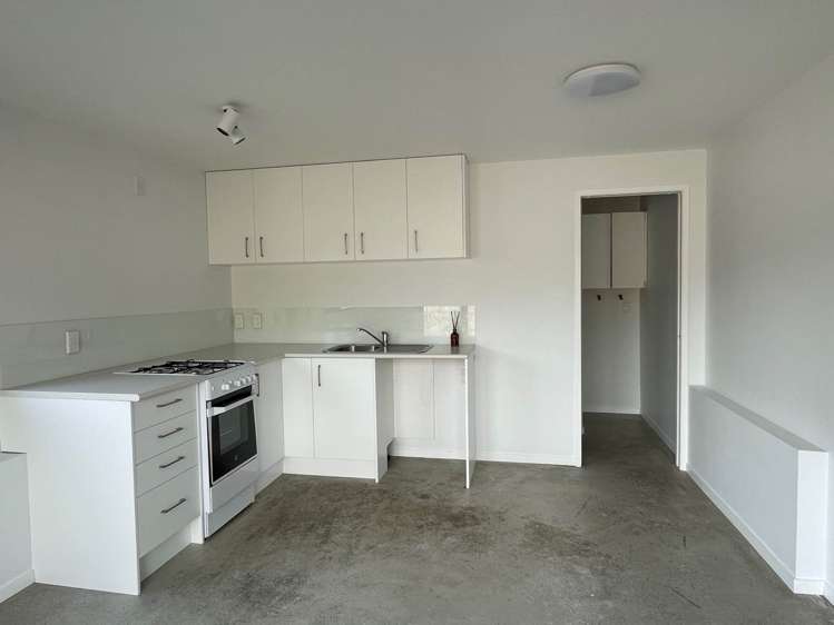 247 Sturges Road Henderson_15