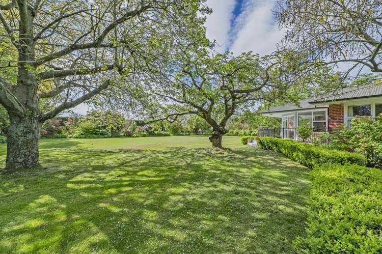 1137 Drain Road Leeston_12