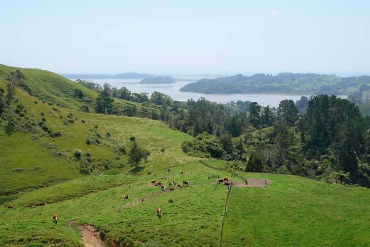 179 and 216 Rankin Road Waiotahe_27