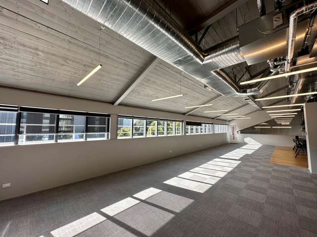 Balfour Road Parnell_2