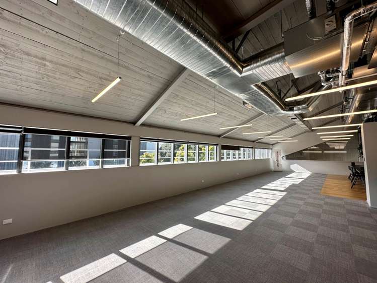 Balfour Road Parnell_2