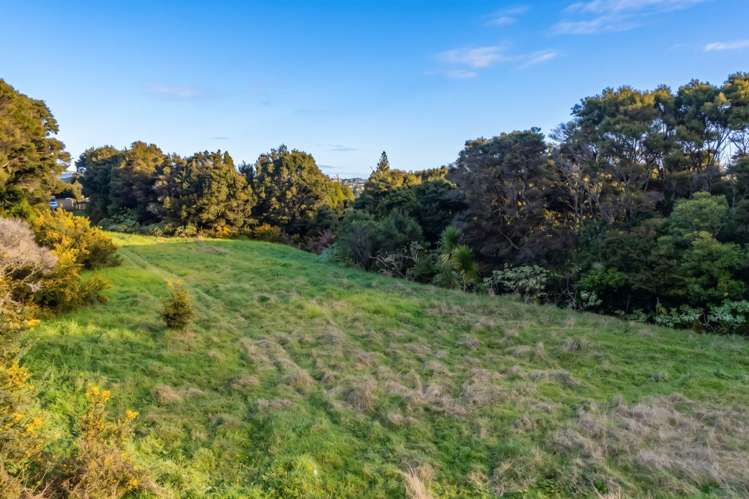 16 Stevensons Crescent Albany_5