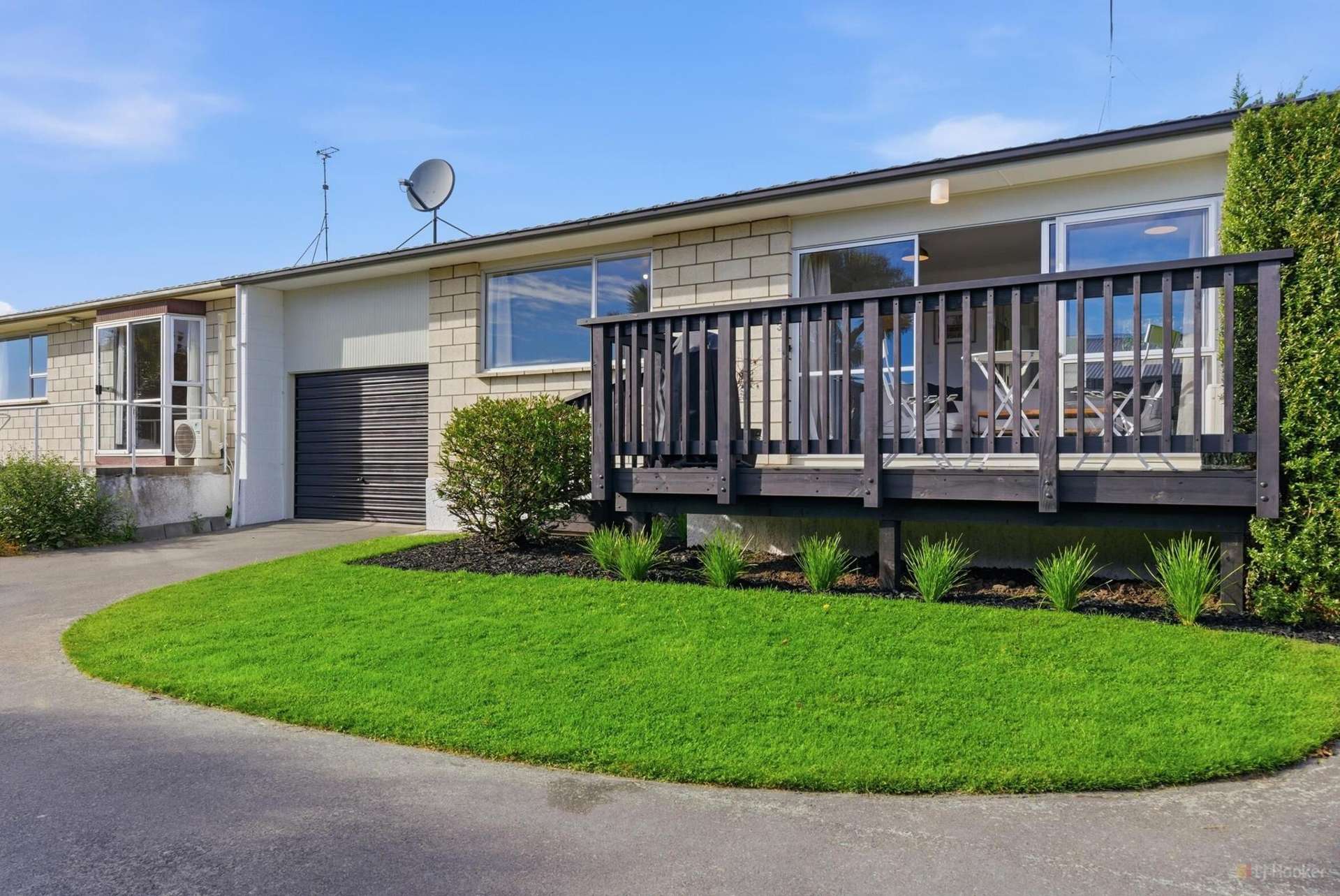 3/8 Campbell Street Maori Hill_0