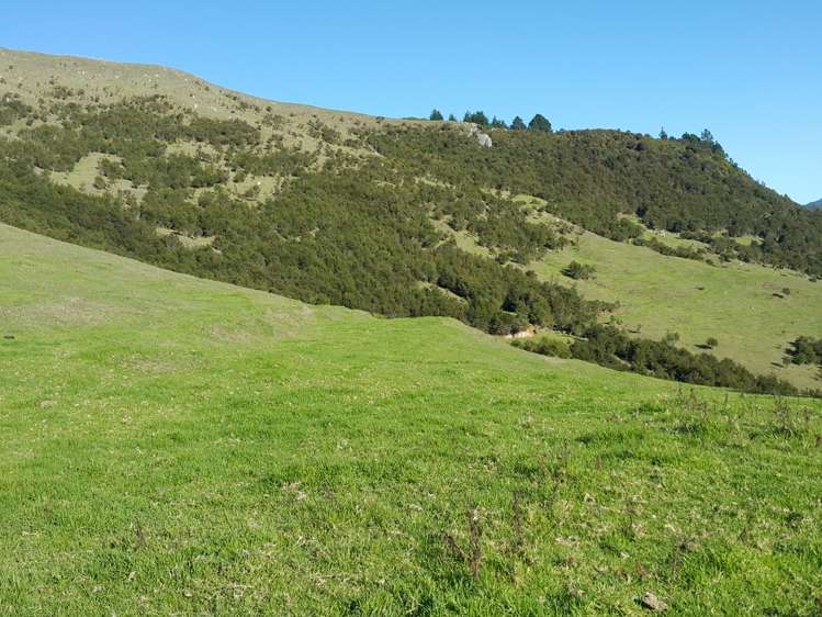 157 Parakiwai Quarry Road Whangamata_11