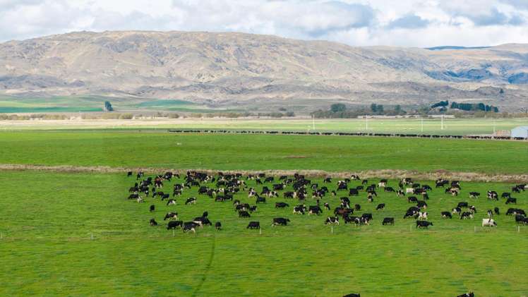 263 Puketoi Runs Road Puketoi_8