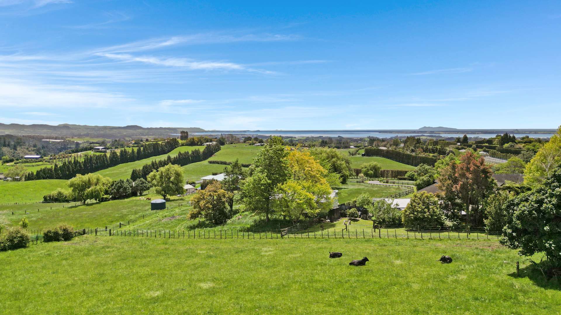 690 Esdaile Road Whakamarama_0