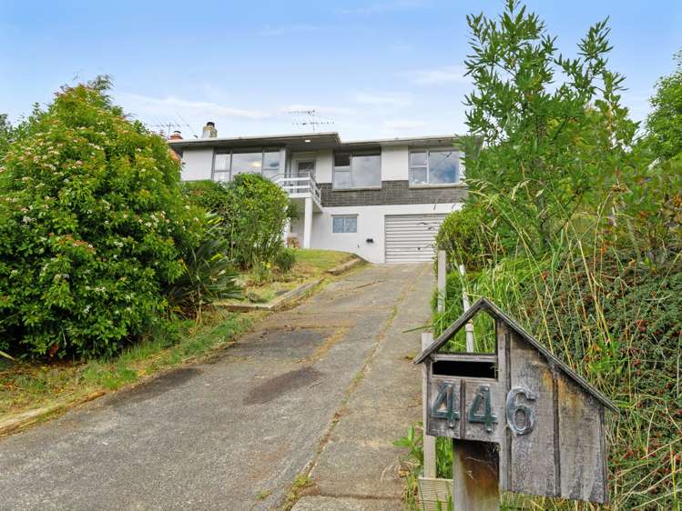 446 Pine Hill Road Pine Hill_22