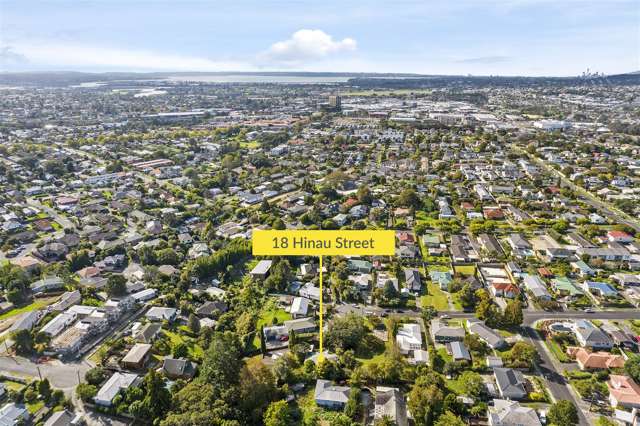 18 Hinau Street New Lynn_1